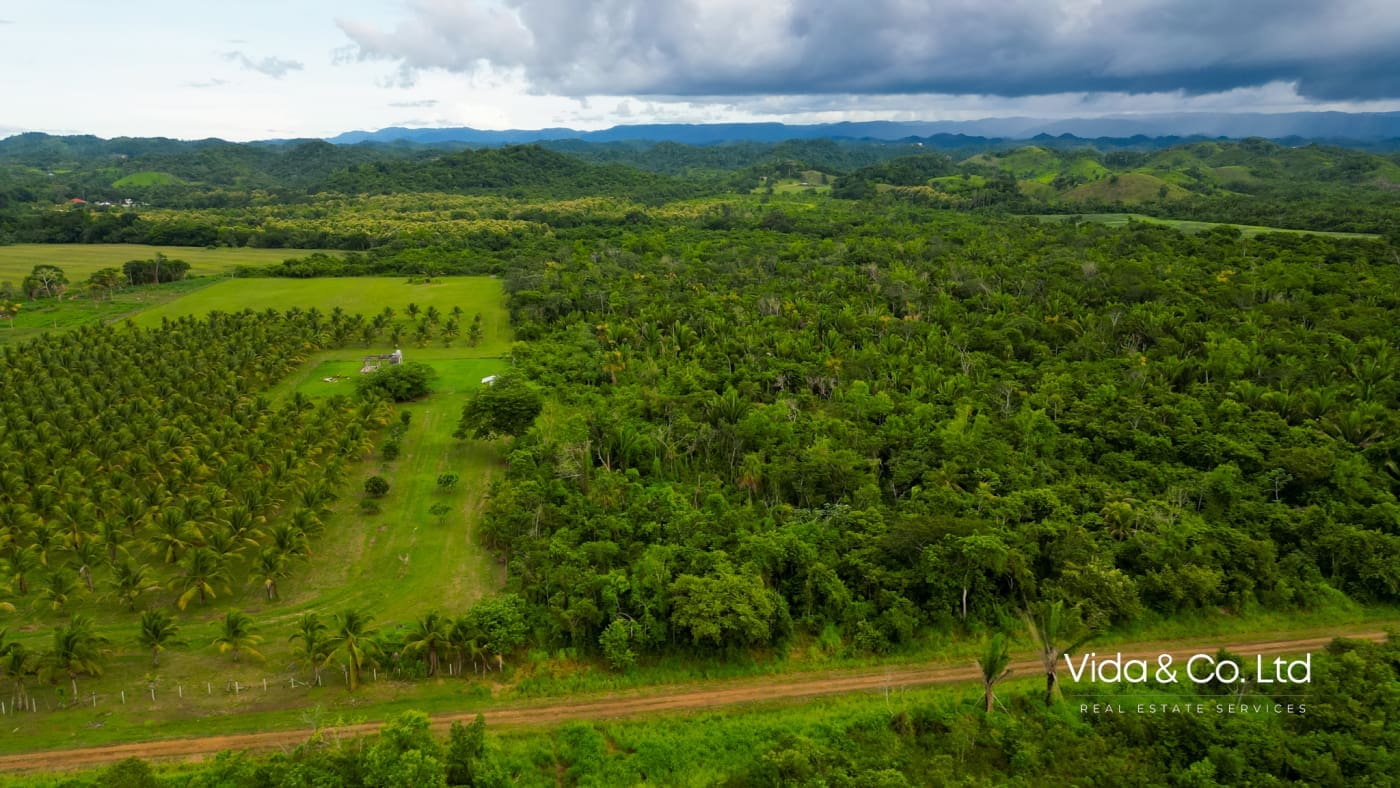 20 Acre Belmopan Farm for Sale