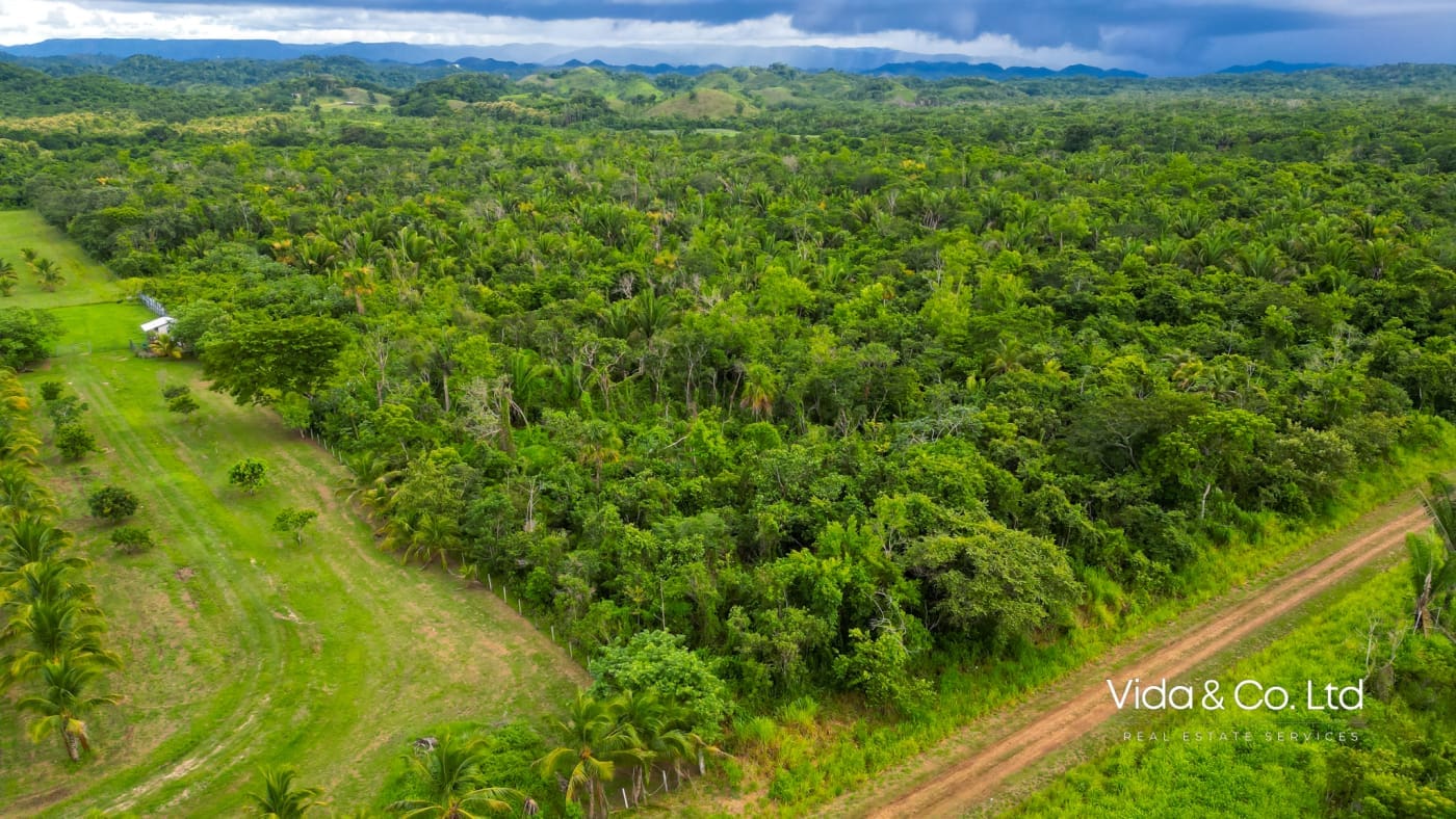 20 Acre Belmopan Farm for Sale