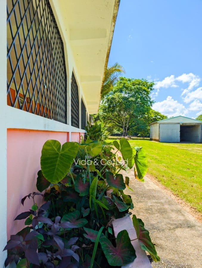 Turnkey Home in Punta Gorda (8)