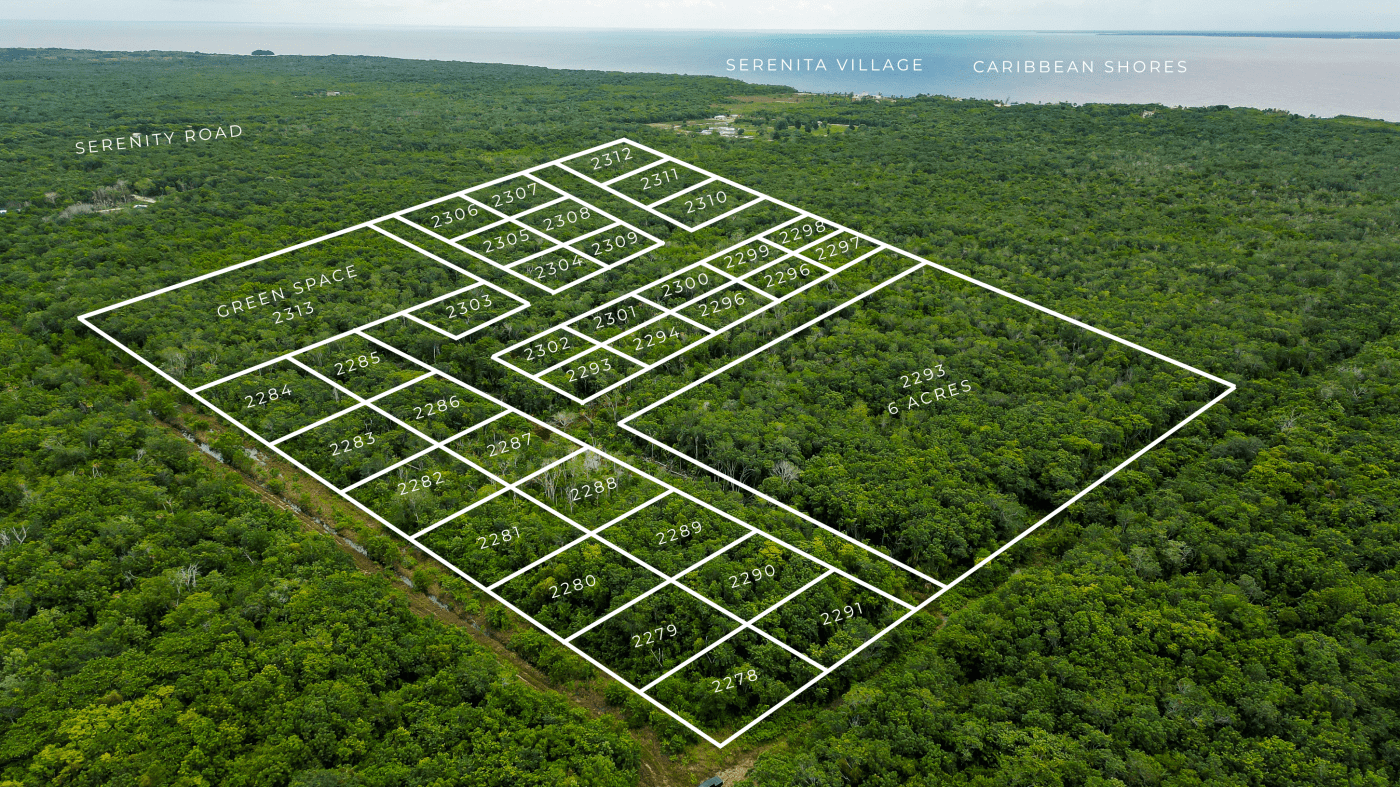Corozal Lot for Sale