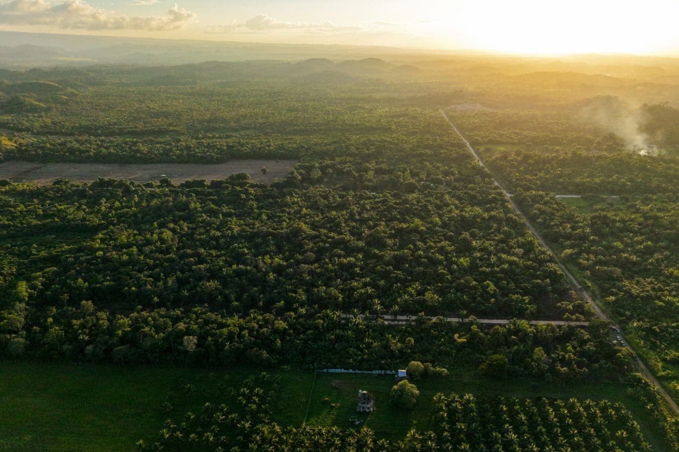 Browse residential lots for sale in Belize, ideal for building a home, retirement property, vacation residence, or long-term land investment.