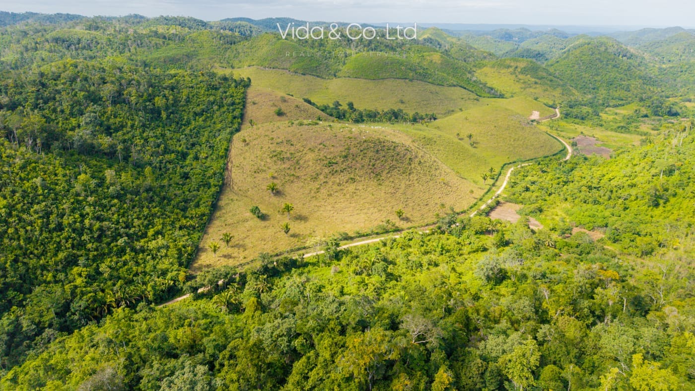 off grid land