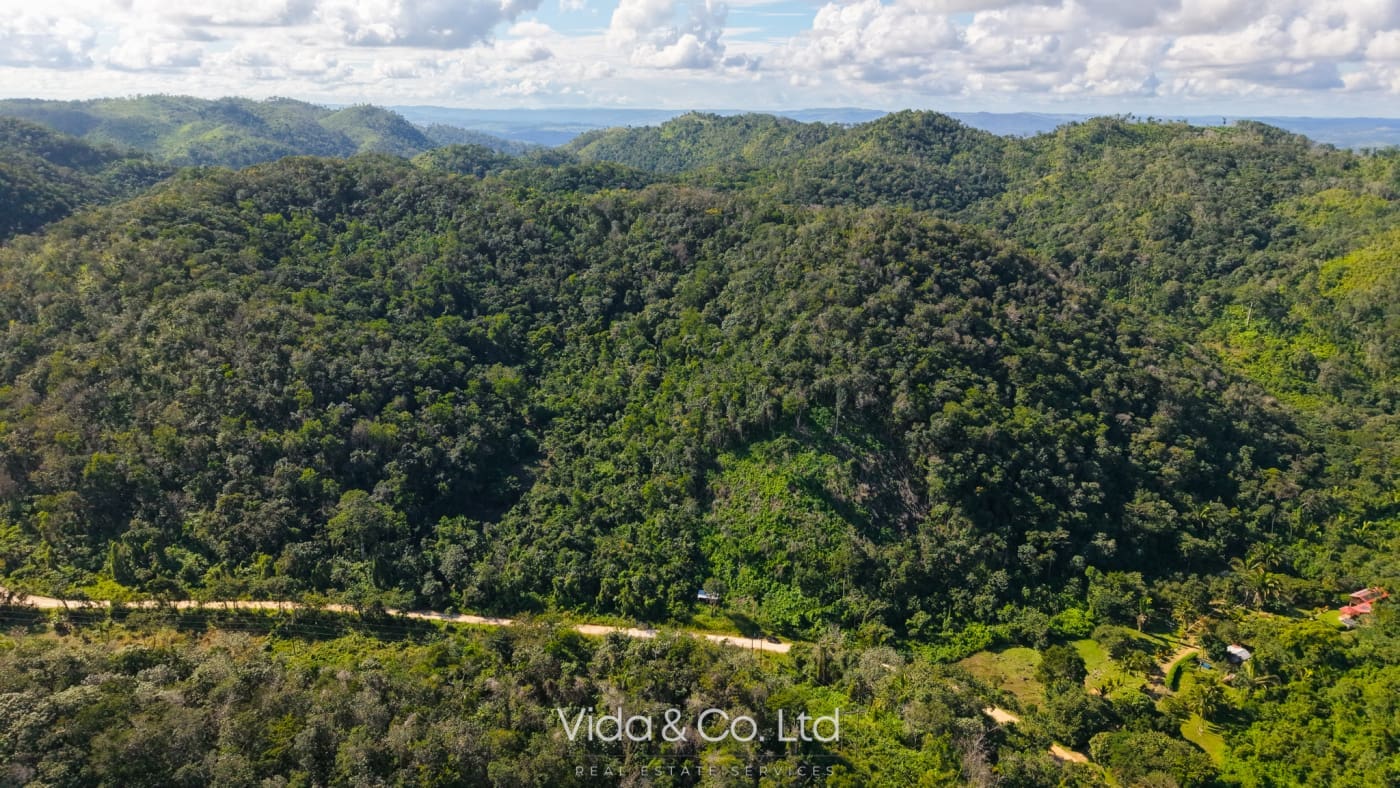 24 Acres For Sale Mollejon Road