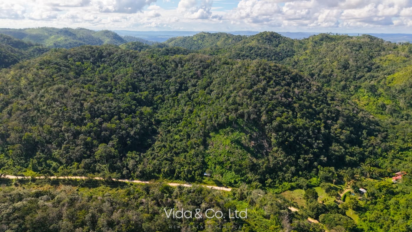 24 Acres For Sale Mollejon Road