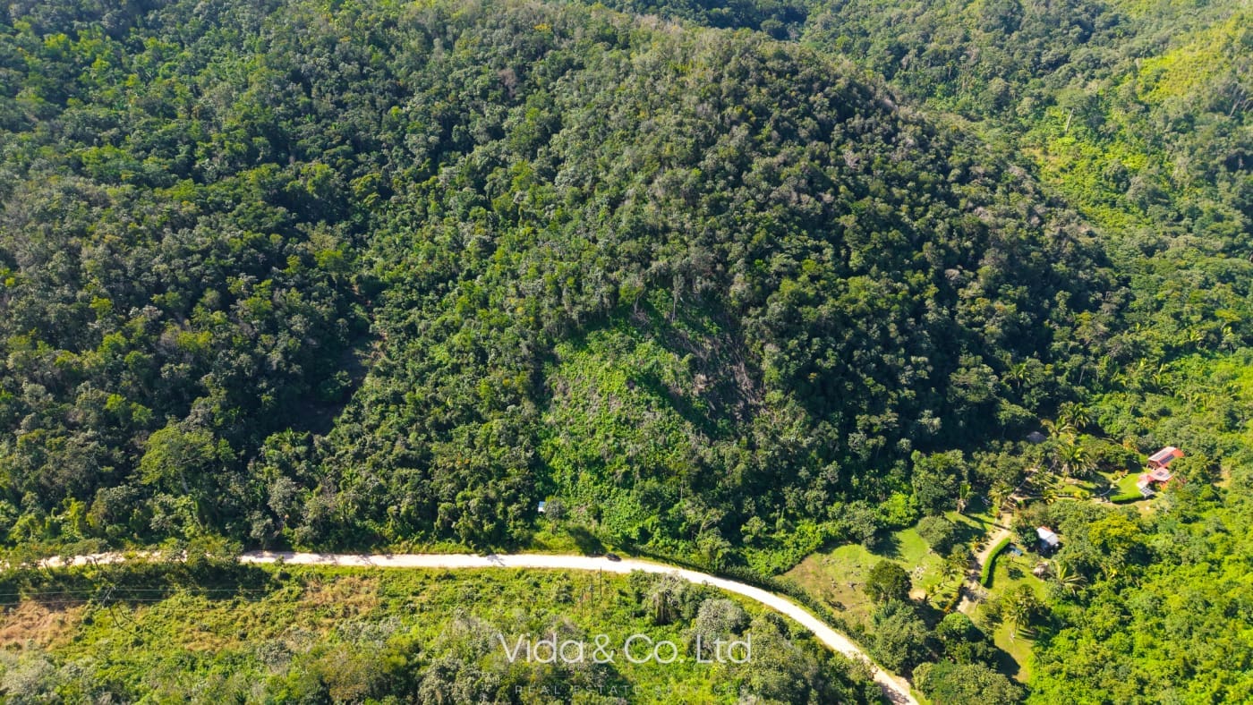 24 Acres For Sale Mollejon Road