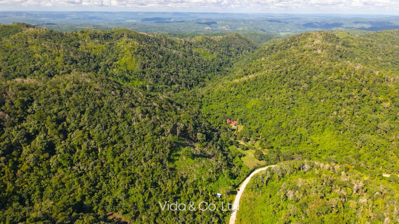 24 Acres For Sale Mollejon Road