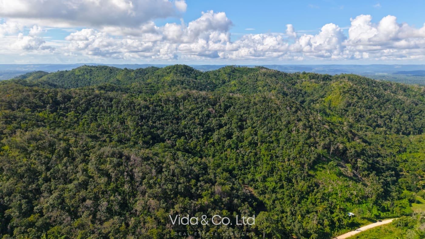 24 Acres For Sale Mollejon Road