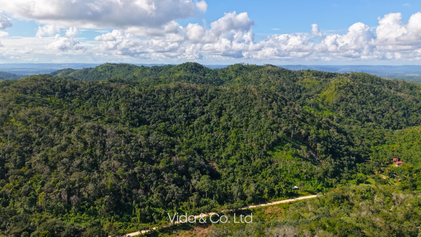 24 Acres For Sale Mollejon Road