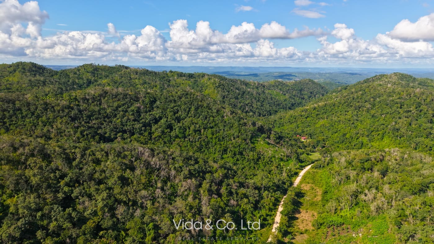 24 Acres For Sale Mollejon Road