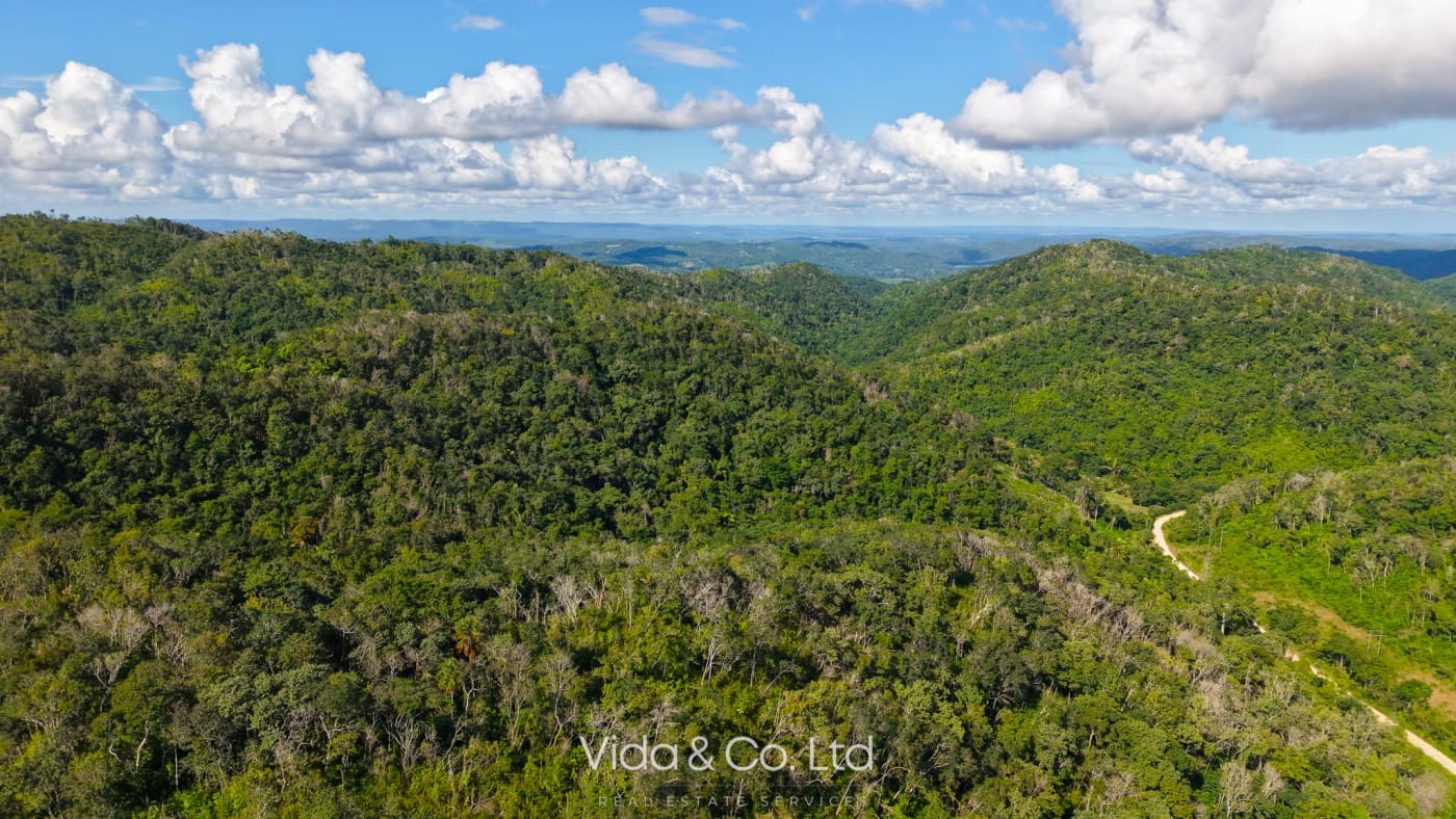 24 Acres For Sale Mollejon Road