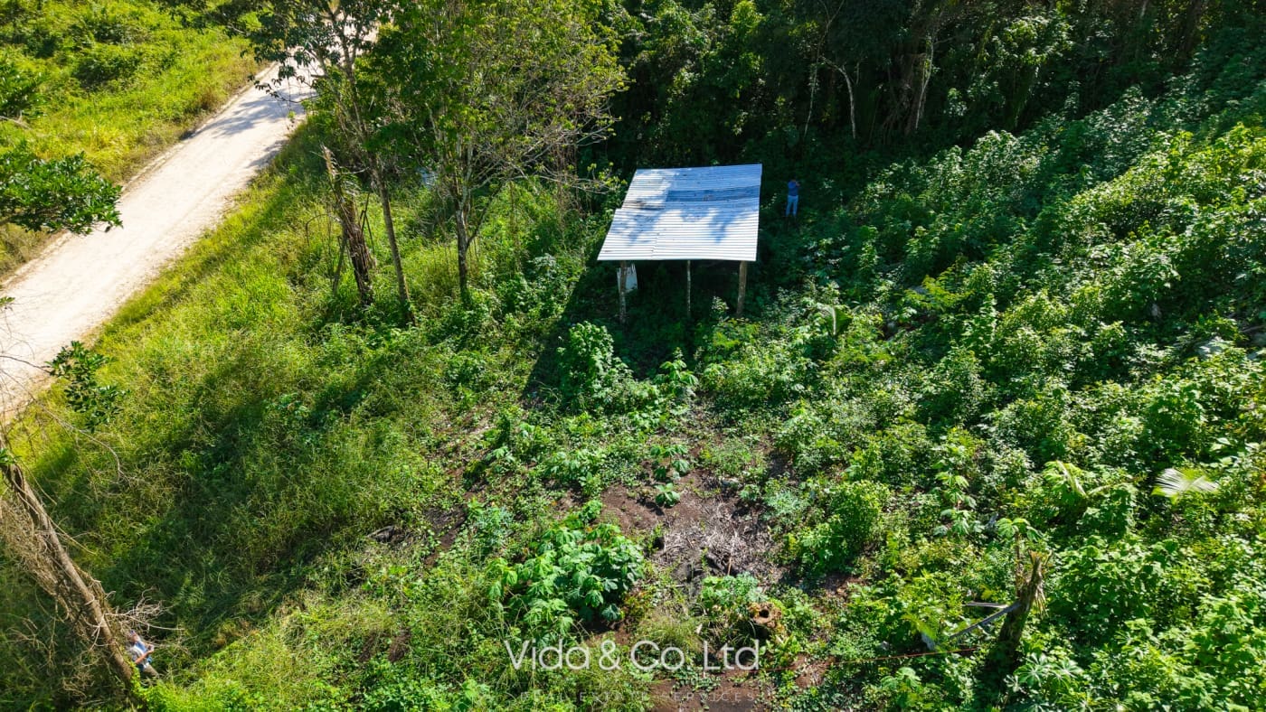 24 Acres For Sale Mollejon Road