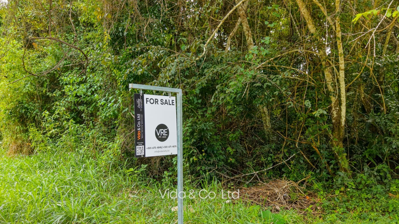 Mollejon Land for Sale