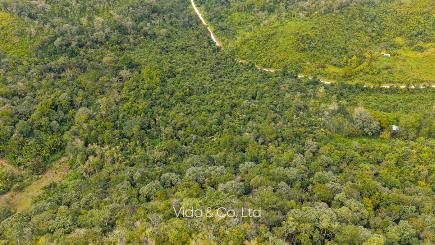 Mollejon Land for Sale