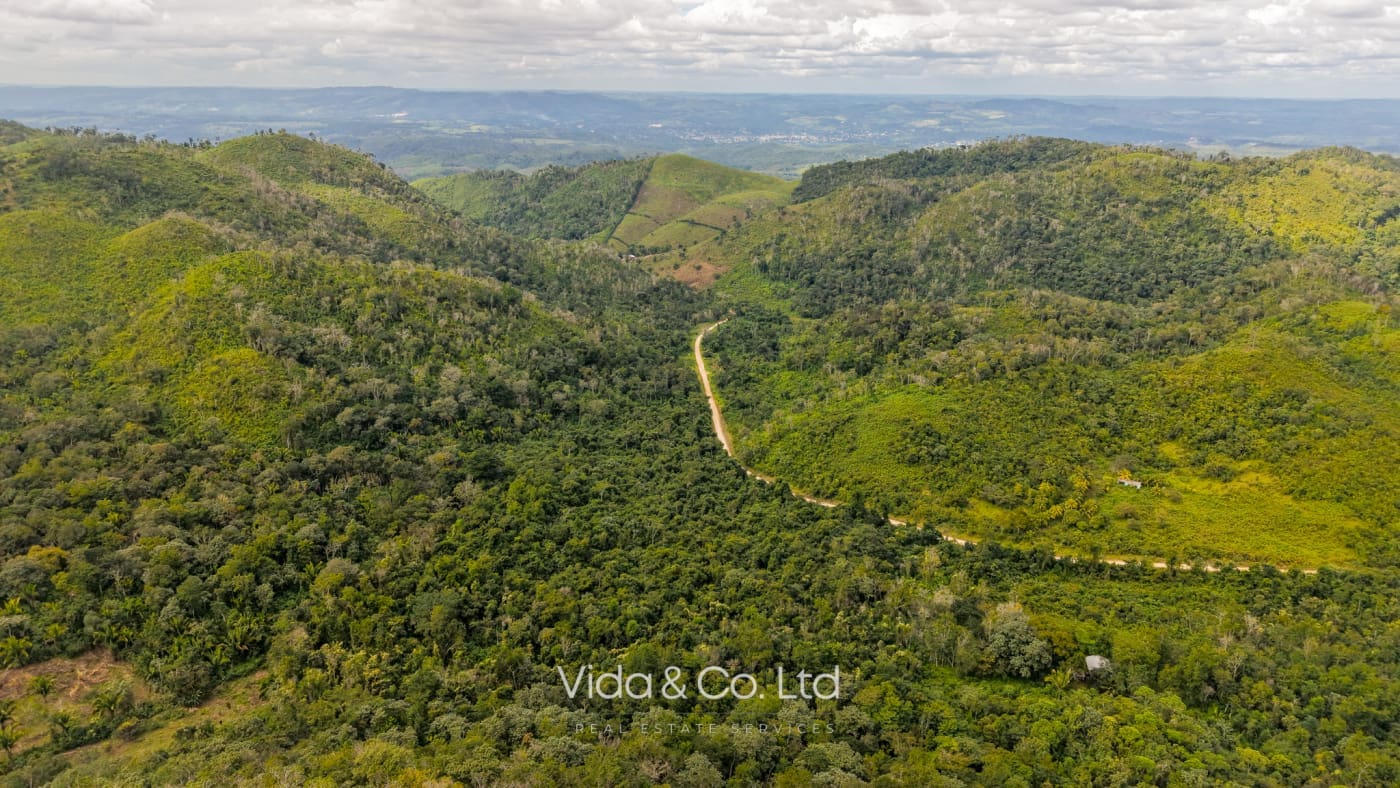 Mollejon Land for Sale