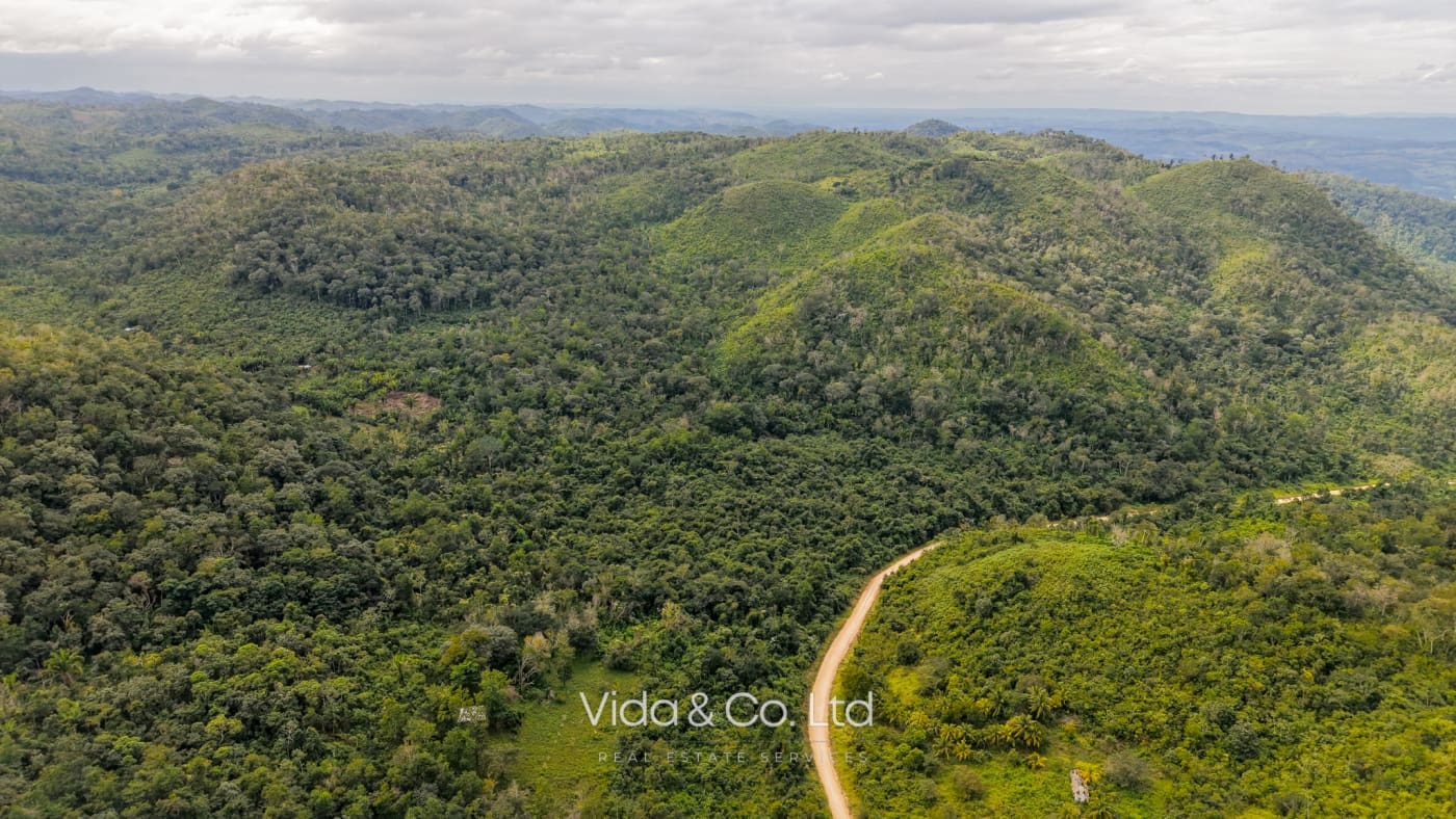 Mollejon Land for Sale