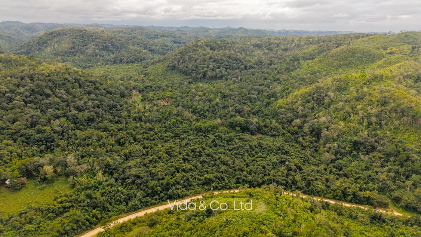 Mollejon Land for Sale