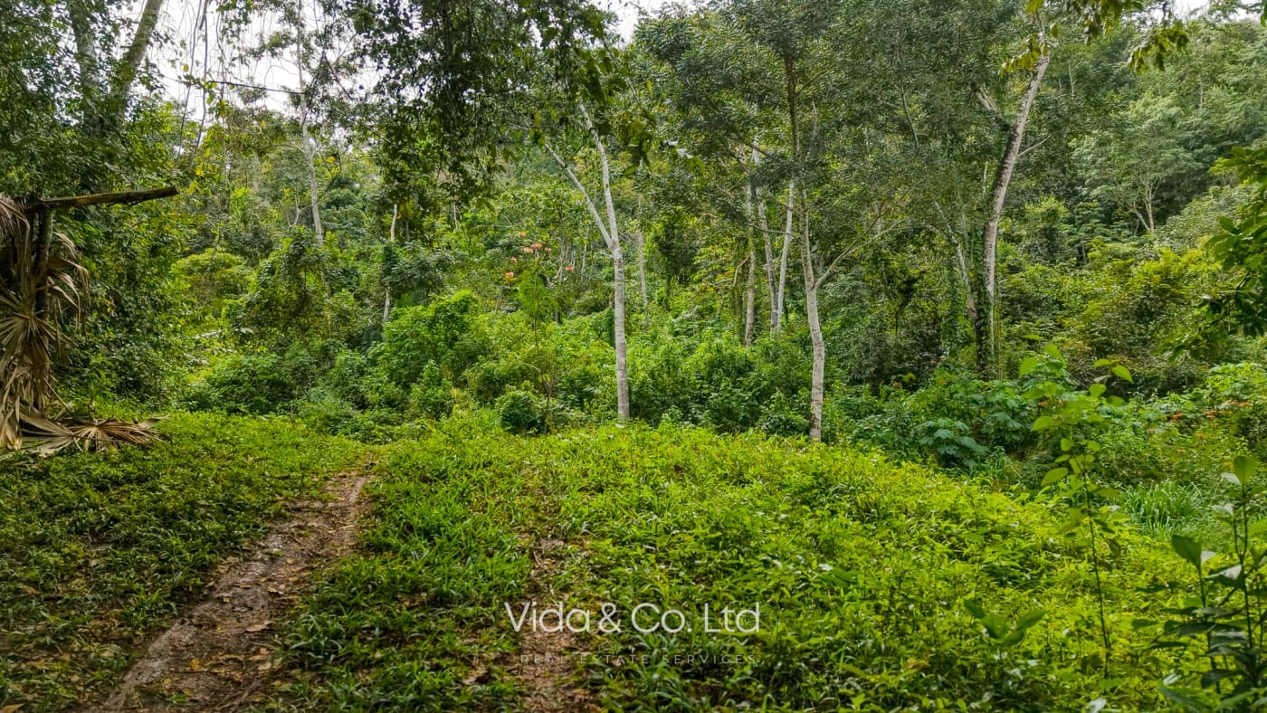 Mollejon Land for Sale