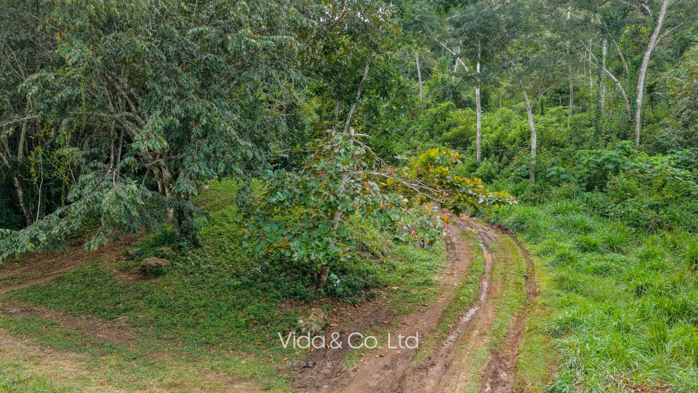 Mollejon Land for Sale