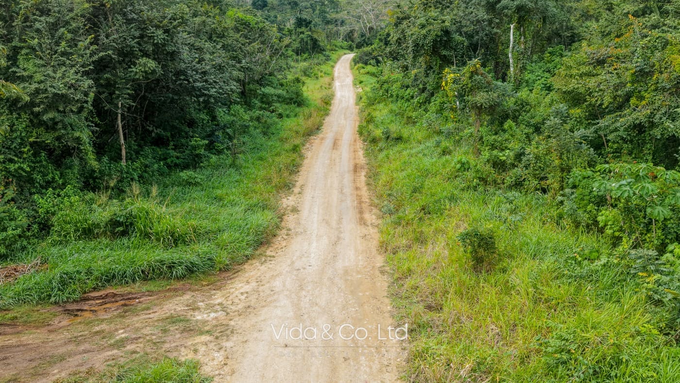 Mollejon Land for Sale