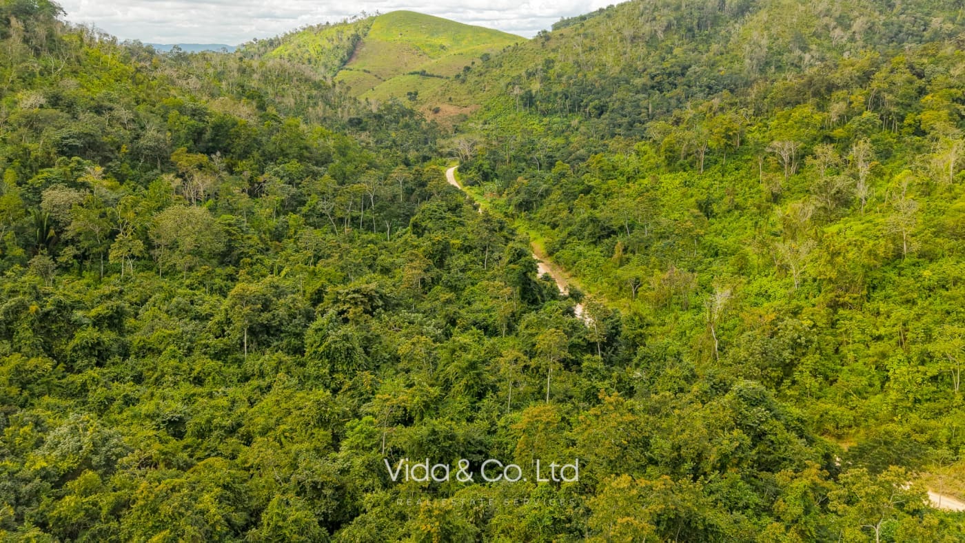 Mollejon Land for Sale