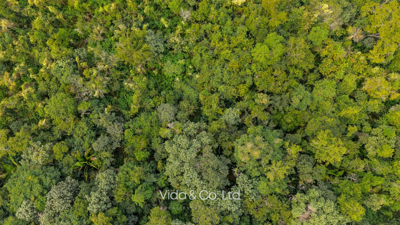 Mollejon Land for Sale