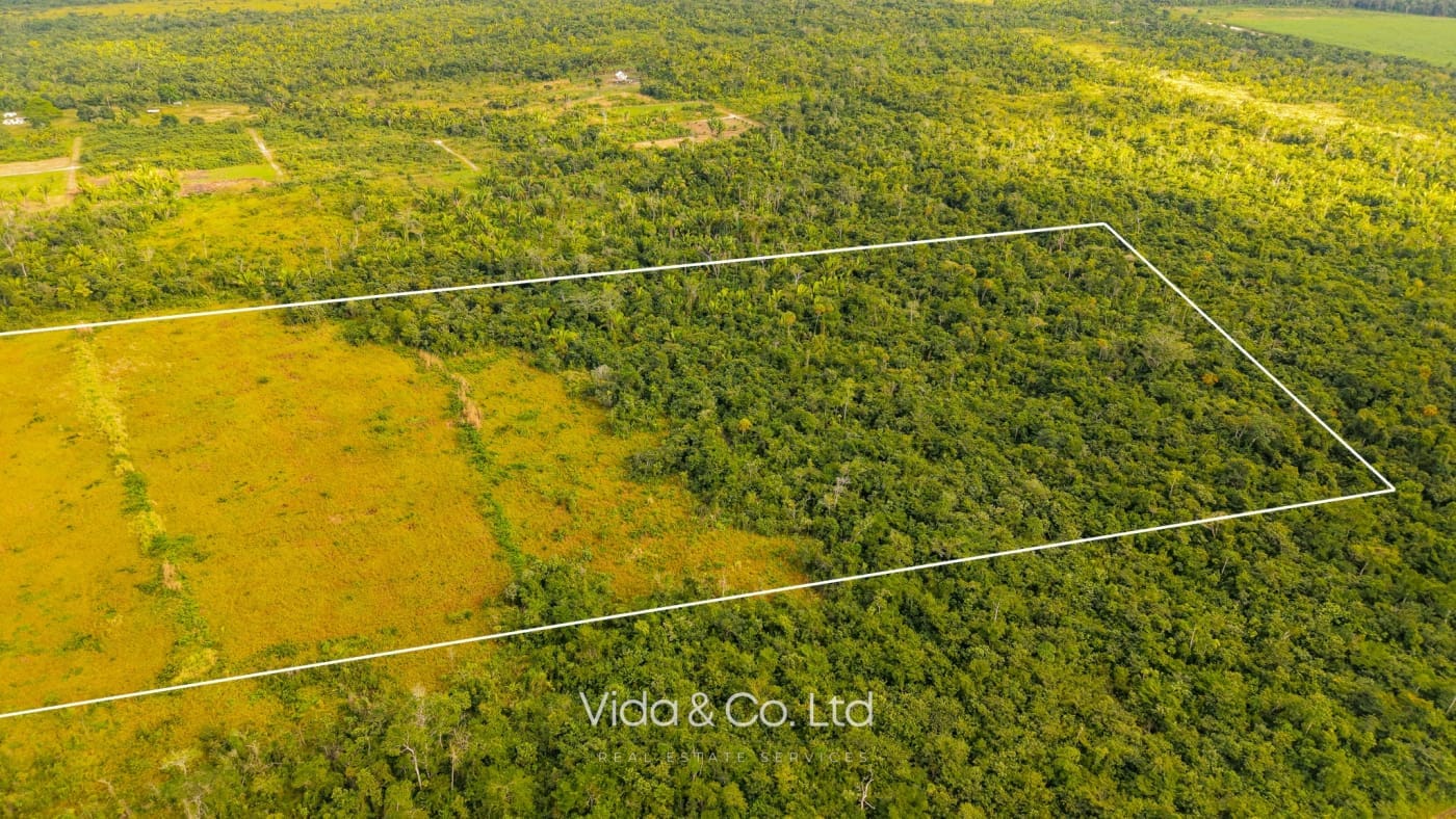 Spanish Lookout Belize Farm