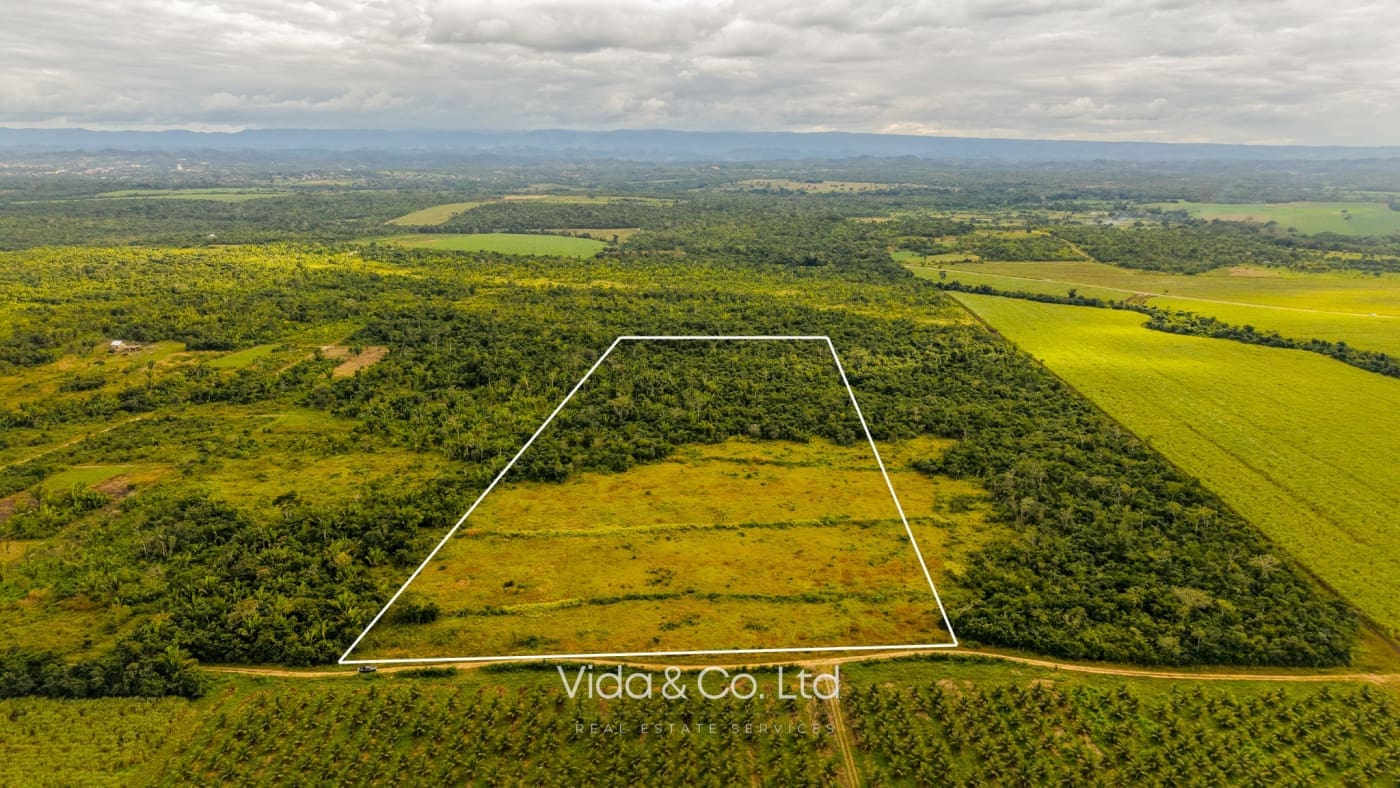 Spanish Lookout Belize Farm