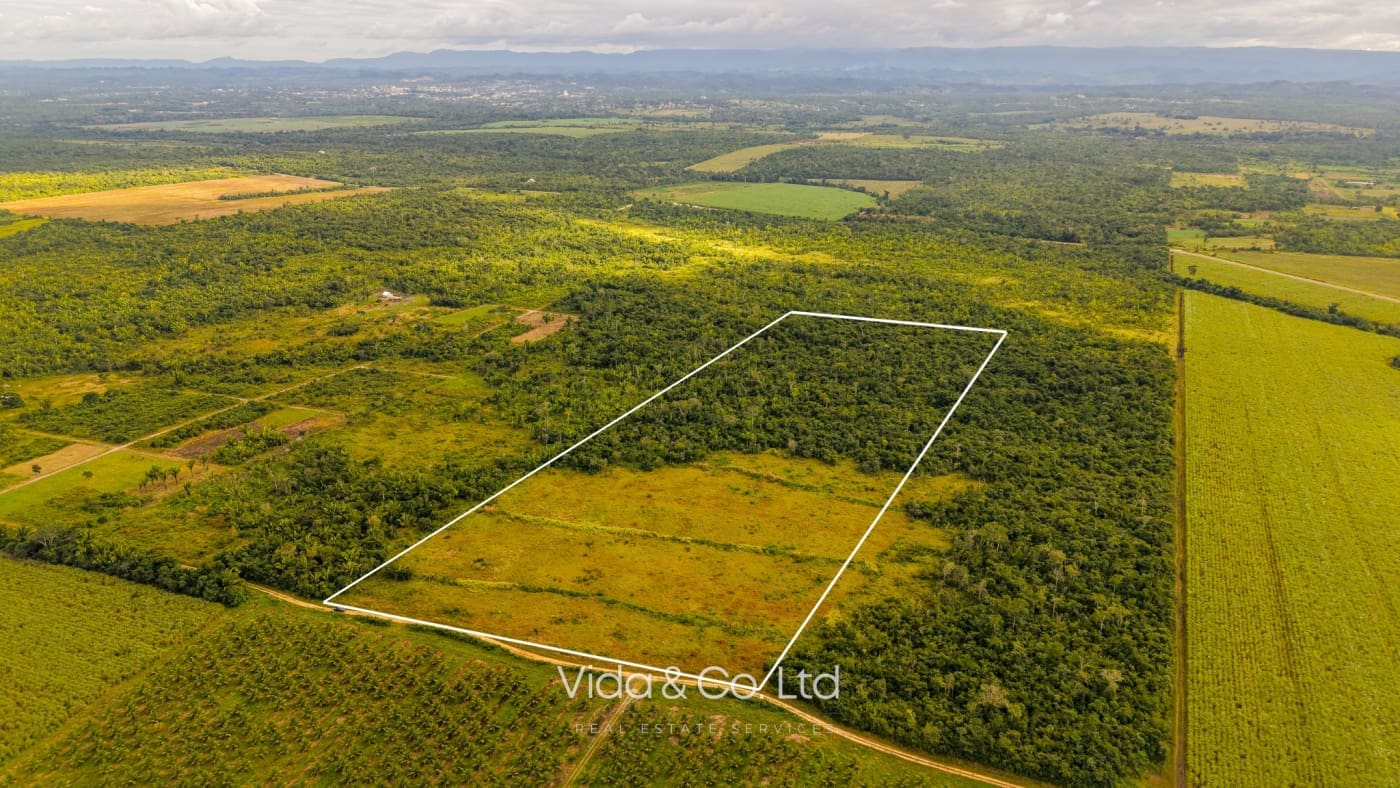 Spanish Lookout Belize Farm