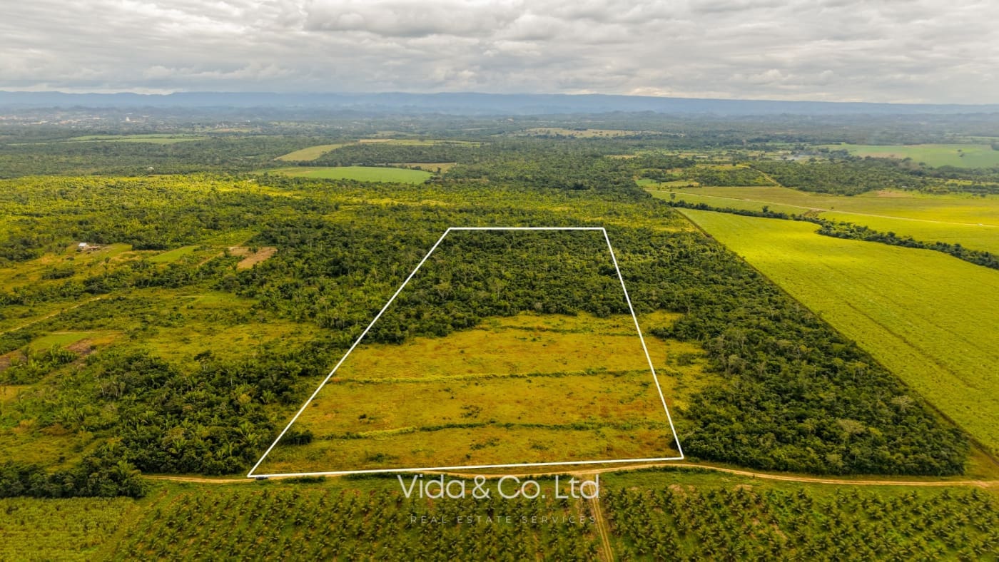 Spanish Lookout Belize Farm Spanish Lookout Belize Farm