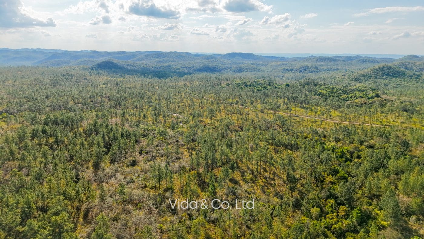 Mountain Pine Ridge Land For Sale (10)