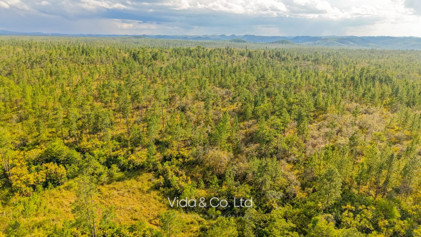 Mountain Pine Ridge Land For Sale (10)