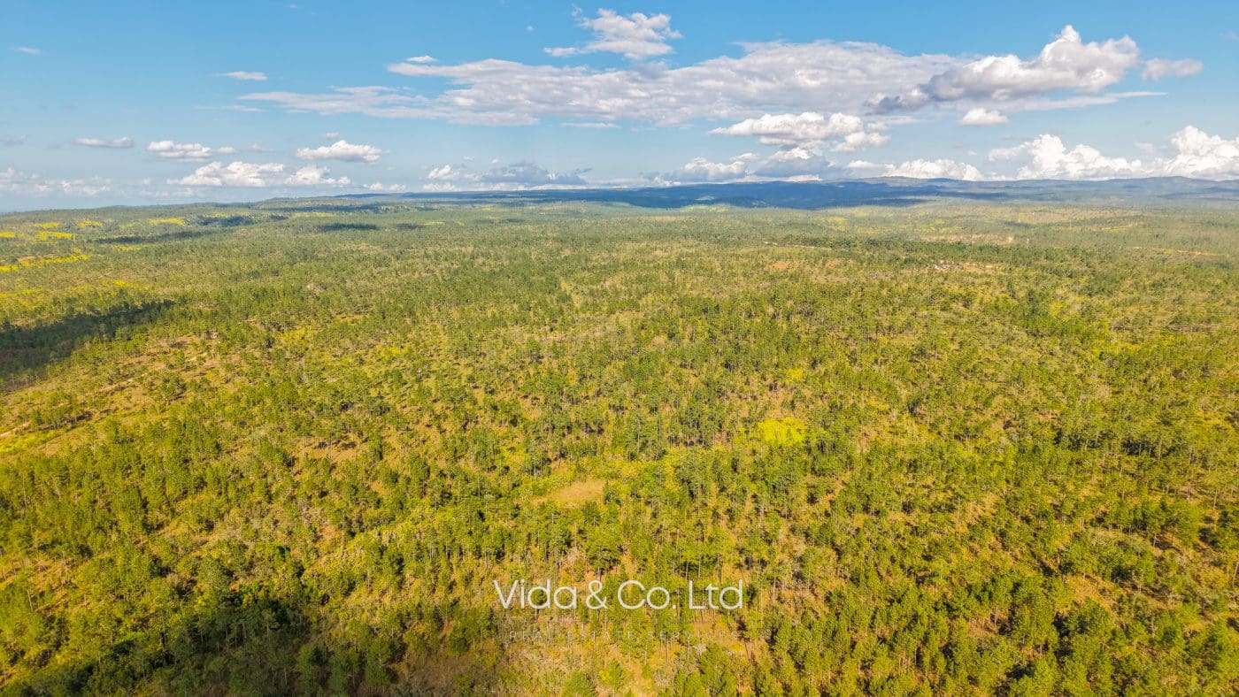 Mountain Pine Ridge Land For Sale (10)