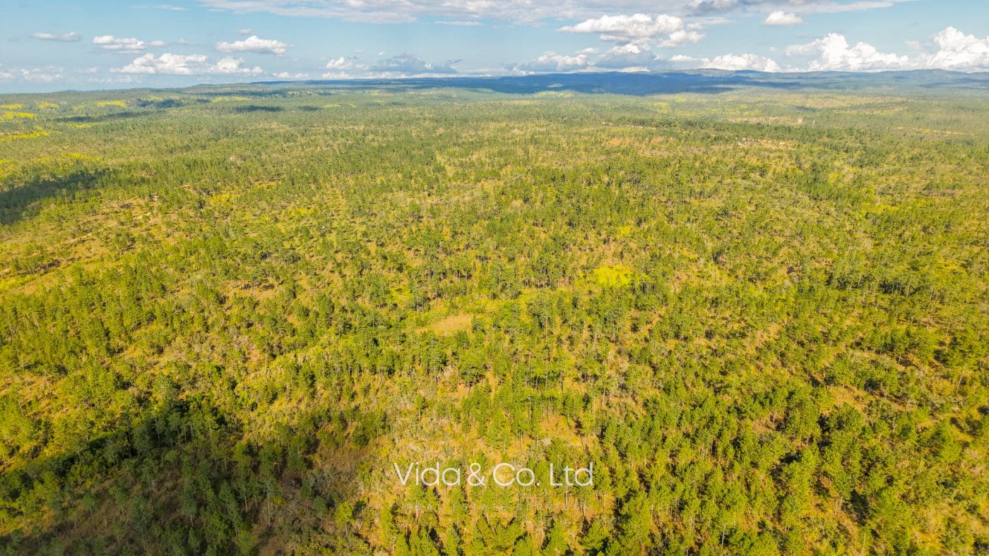 Mountain Pine Ridge Land For Sale (10)