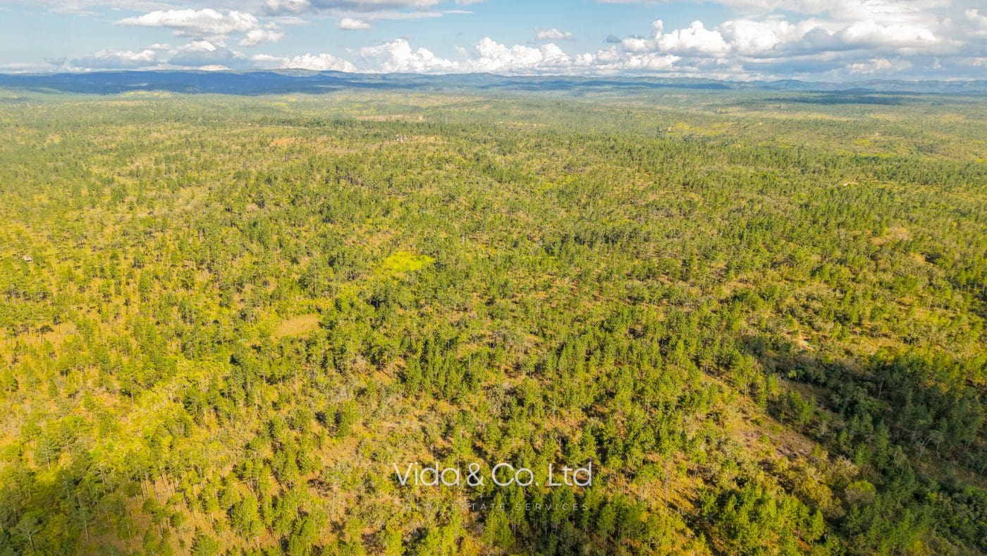 Mountain Pine Ridge Land For Sale (10)