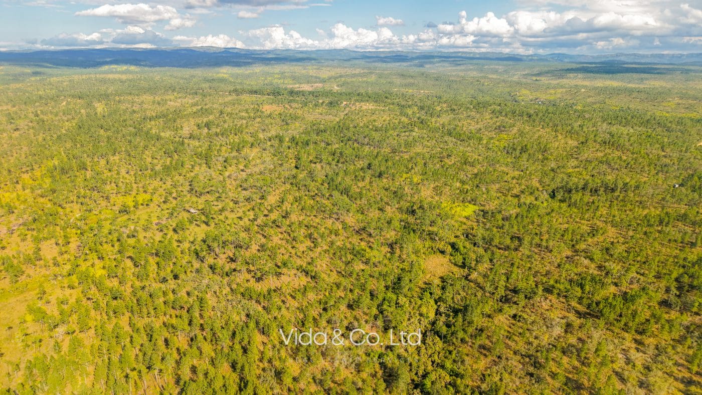 Mountain Pine Ridge Land For Sale (10)