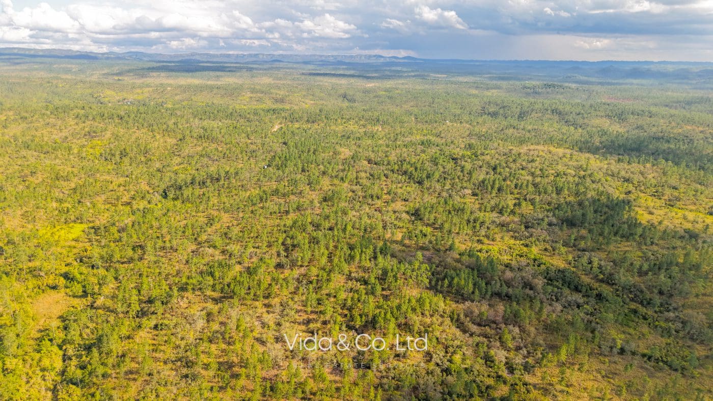 Mountain Pine Ridge Land For Sale (10)