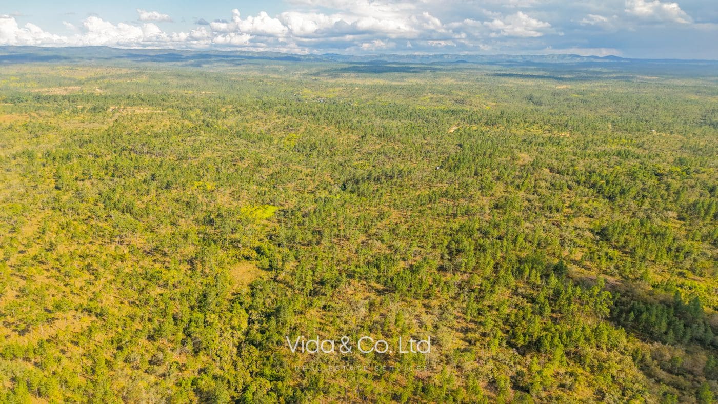 Mountain Pine Ridge Land For Sale (10)