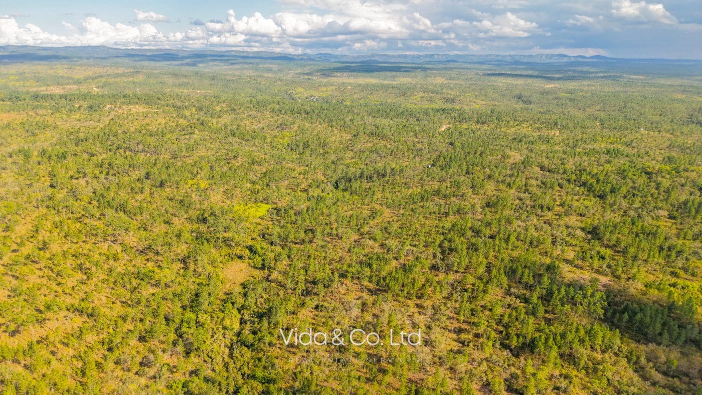 Mountain Pine Ridge Land For Sale (10)