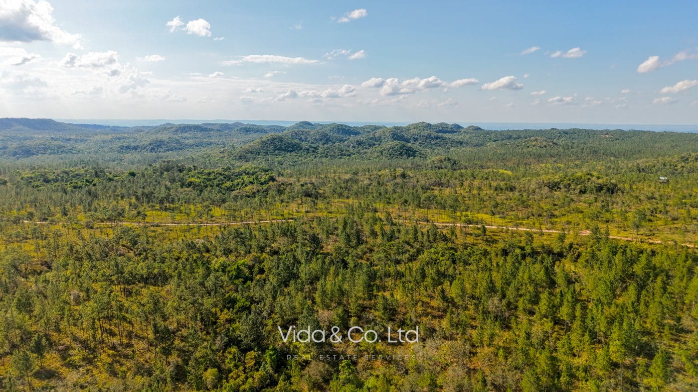 Mountain Pine Ridge Land For Sale (10)