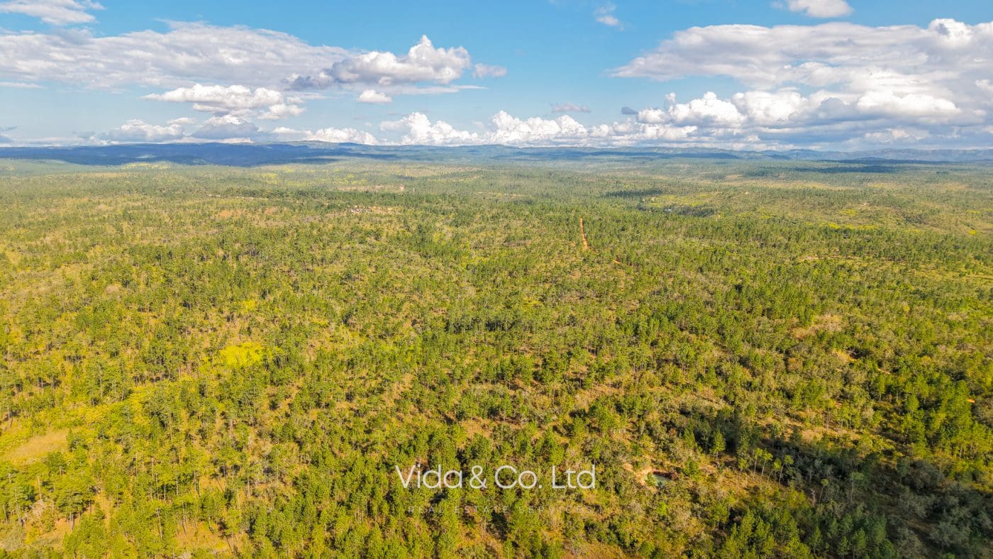 Mountain Pine Ridge Land For Sale (10)