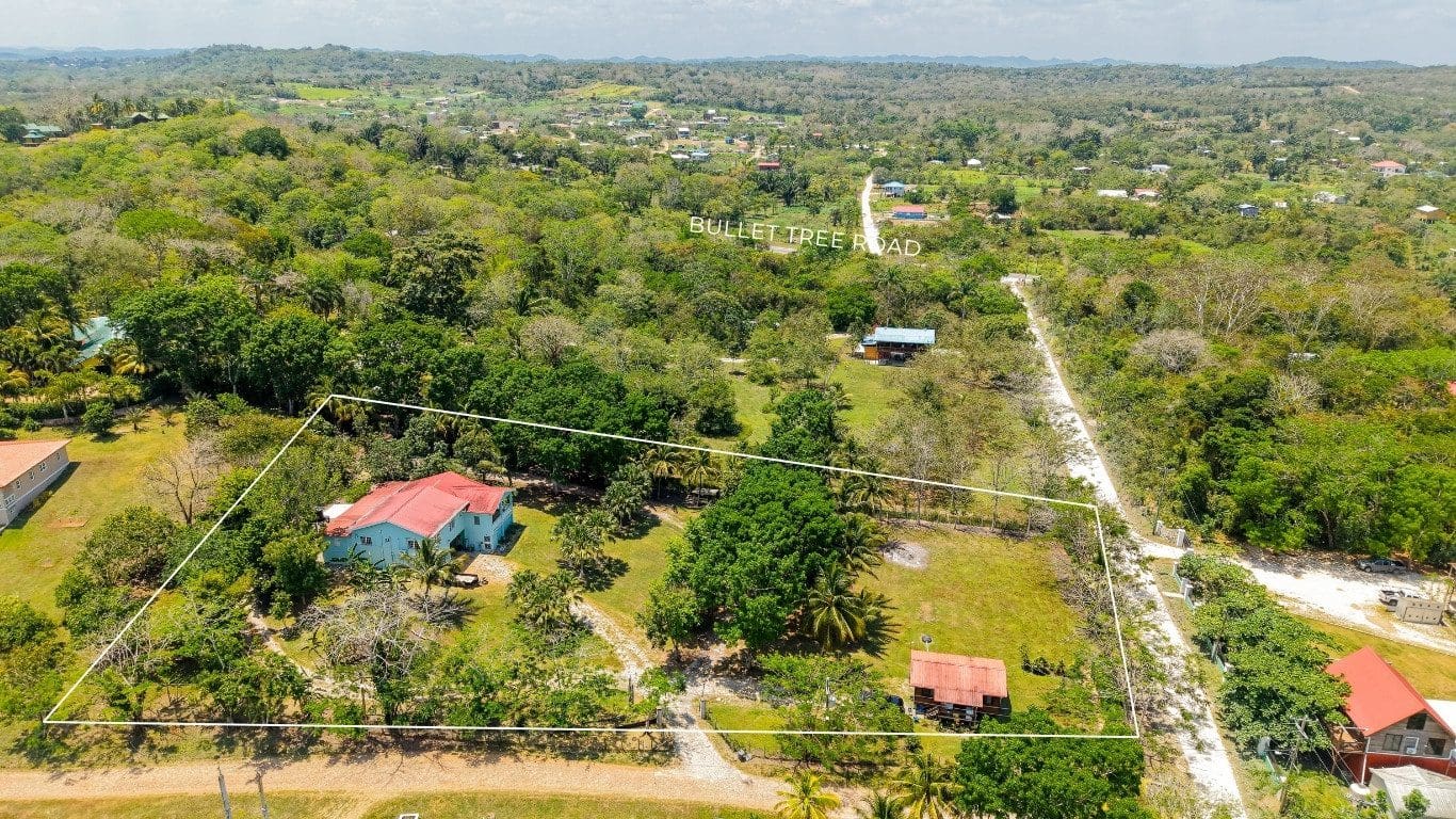 Bullet Tree Homestead for sale