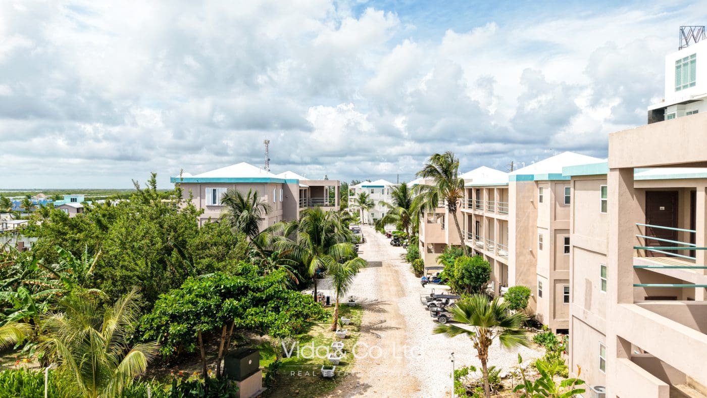 Condos for sale Ambergris caye