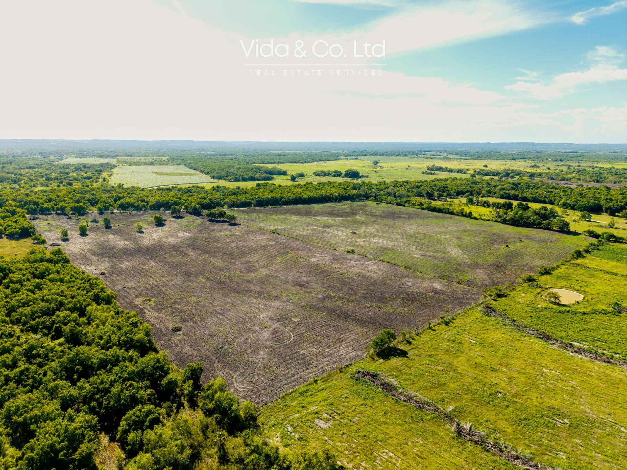 Orange Walk Farm for Sale Belize
