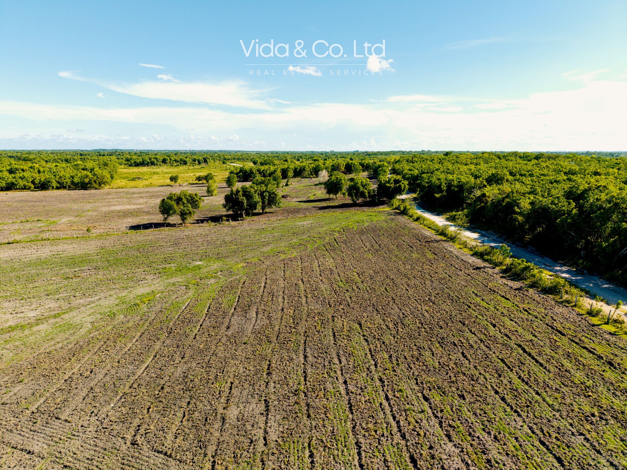 Orange Walk Farm for Sale Belize