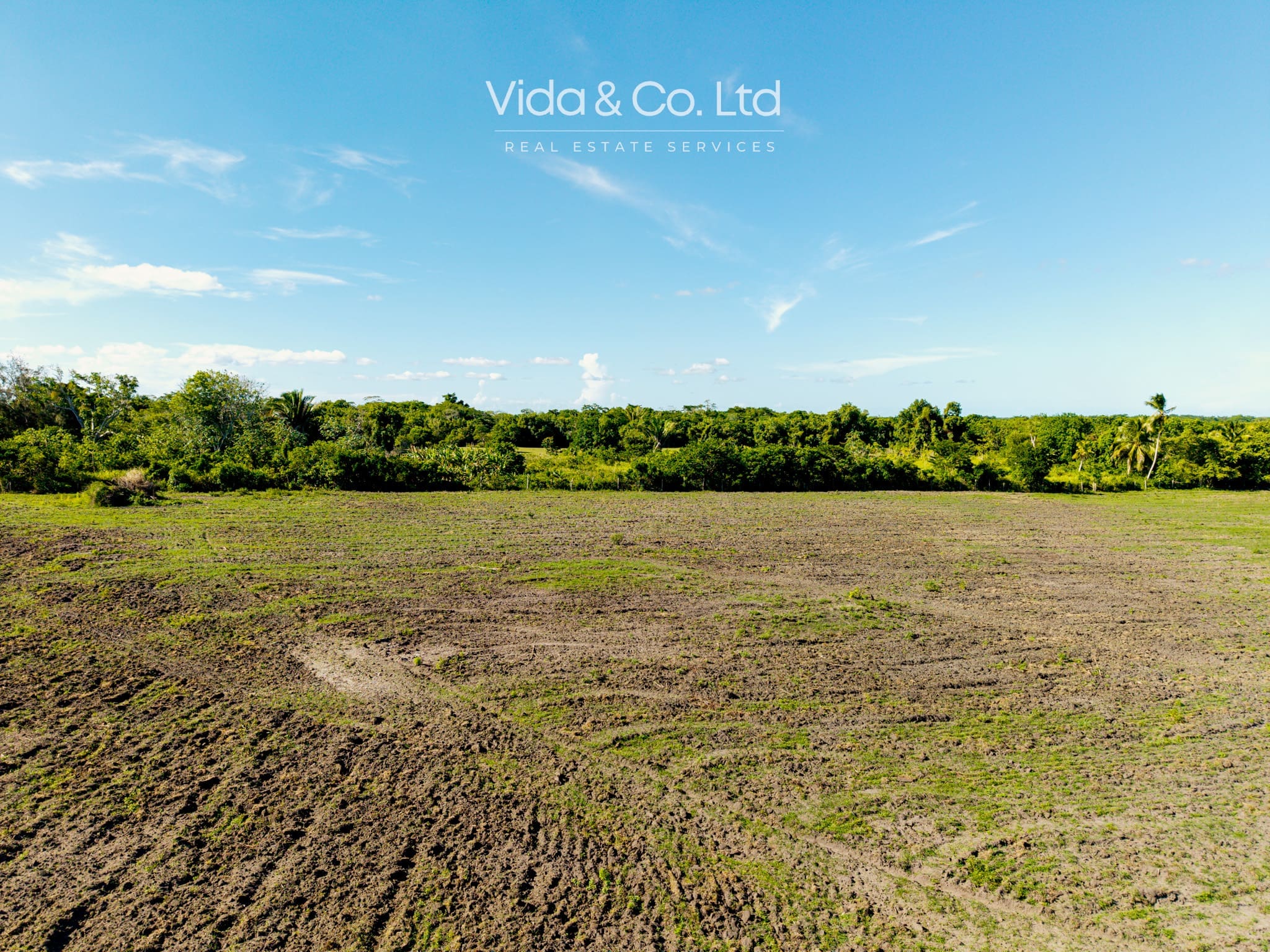Orange Walk Farm for Sale Belize