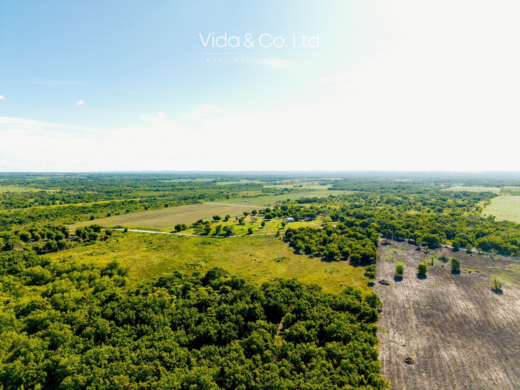 Orange Walk Farm for Sale Belize