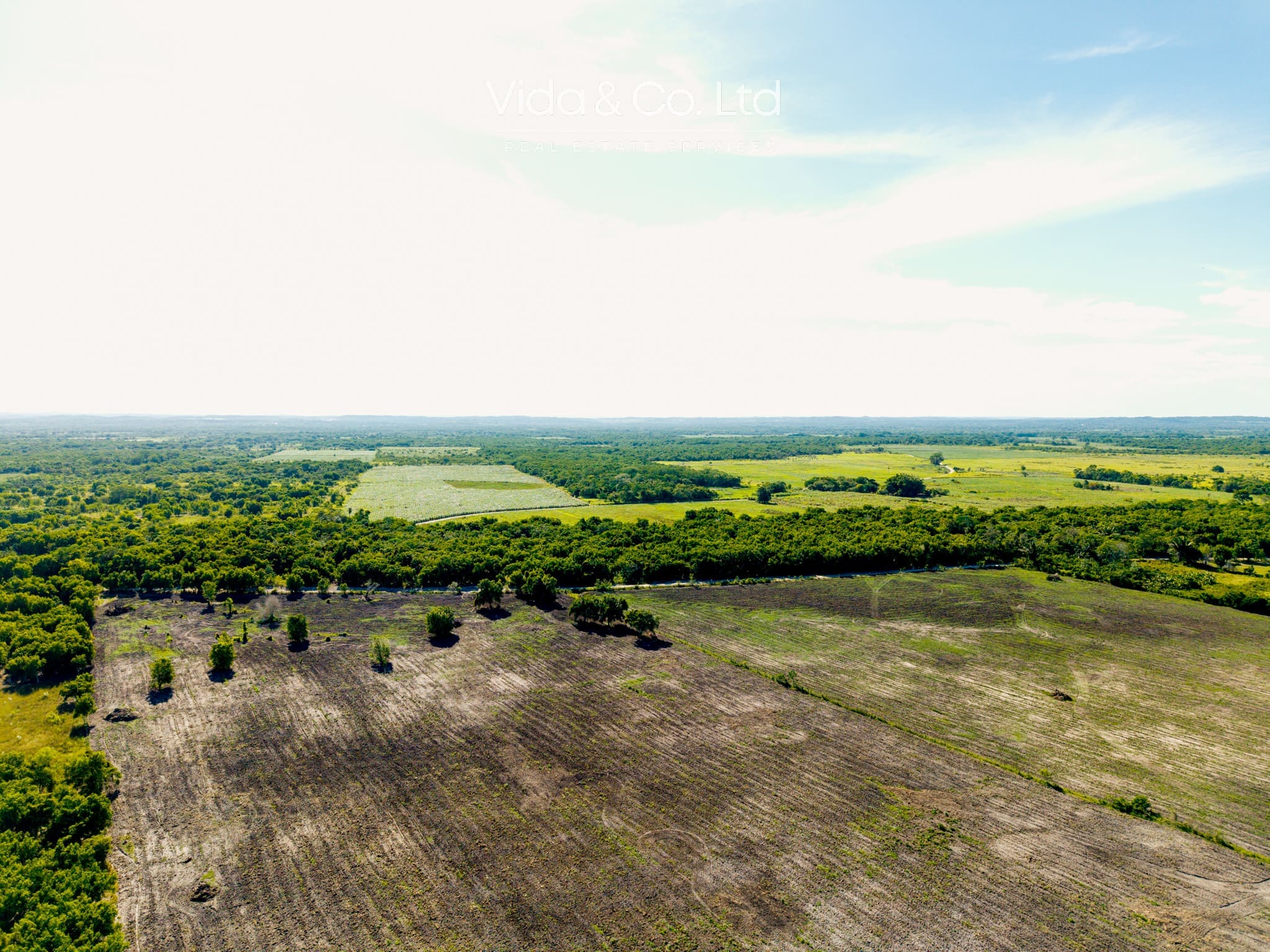 Orange Walk Farm for Sale Belize