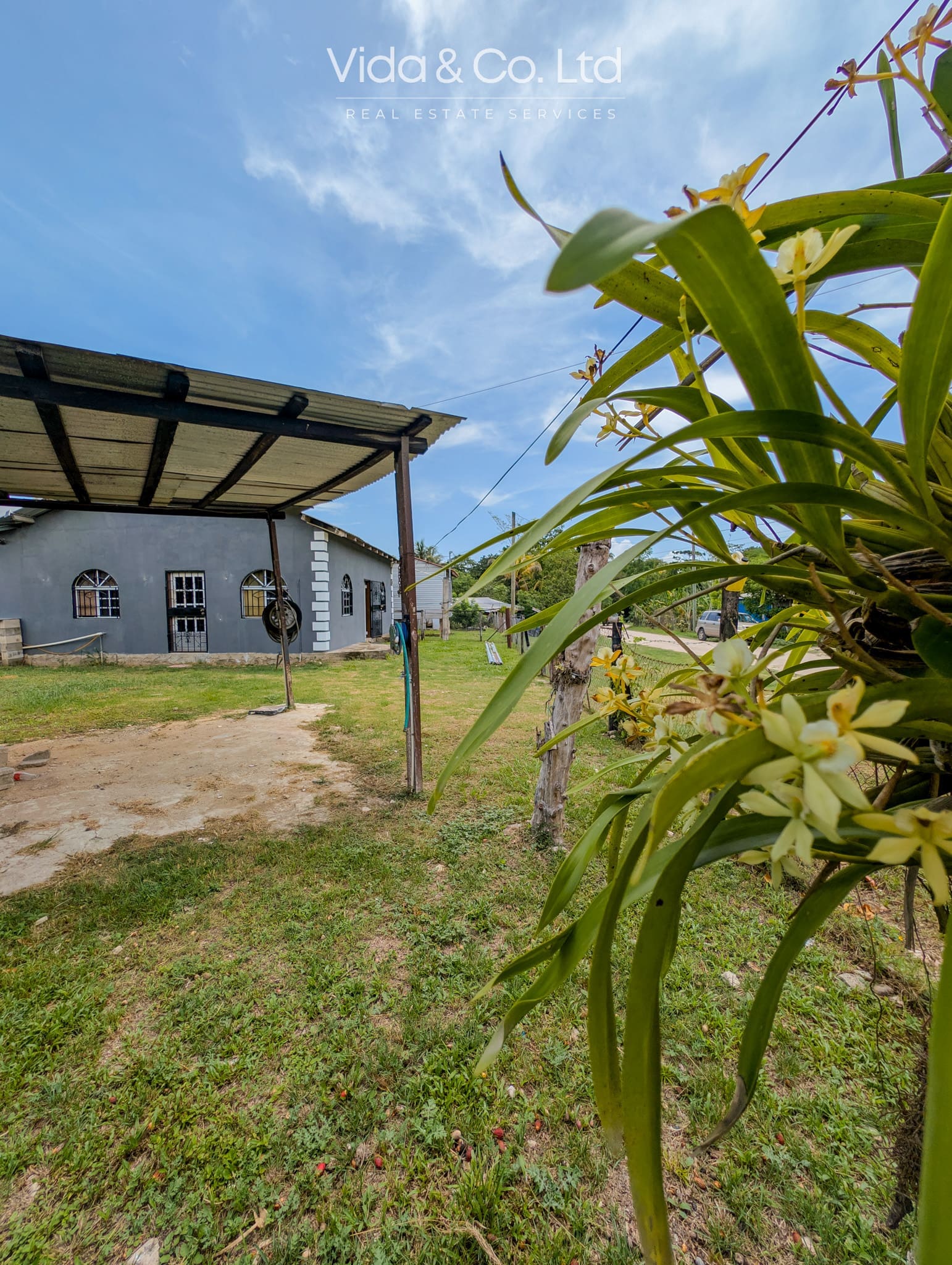 San Ignacio Home Rent