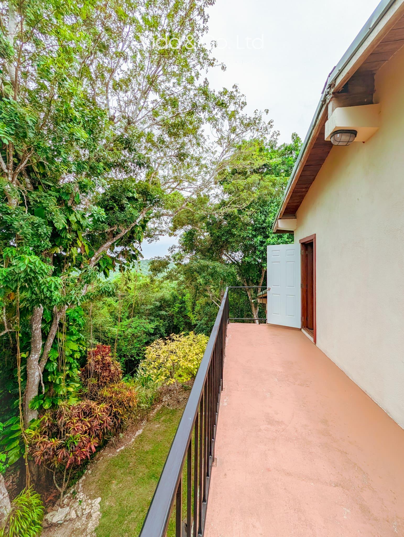 Luxury Homes for Sale
