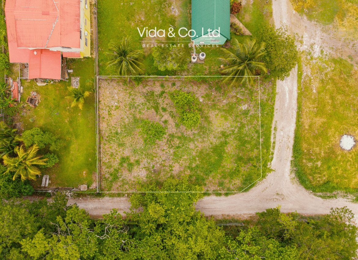 Maya Vista Lot San Ignacio